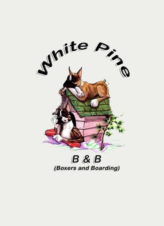White Pine Logo